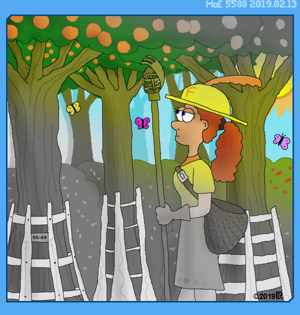 MoE 5588 13/02/2019 :: Part Seven: Seats of Power \/\/ Entangled