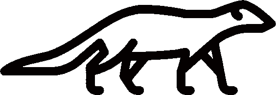 stylised line-drawing of mongoose