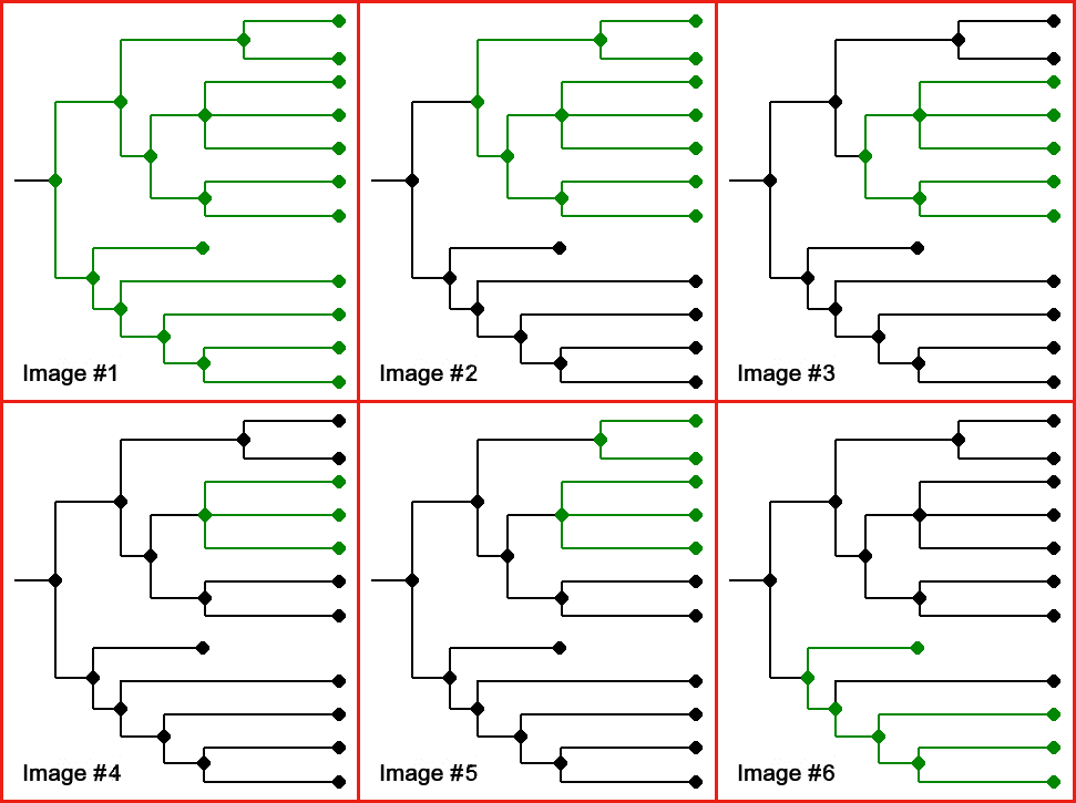 selection of different cladograms