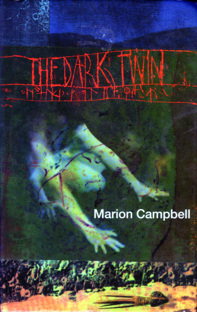 cover of second hardback edition of The Dark Twin