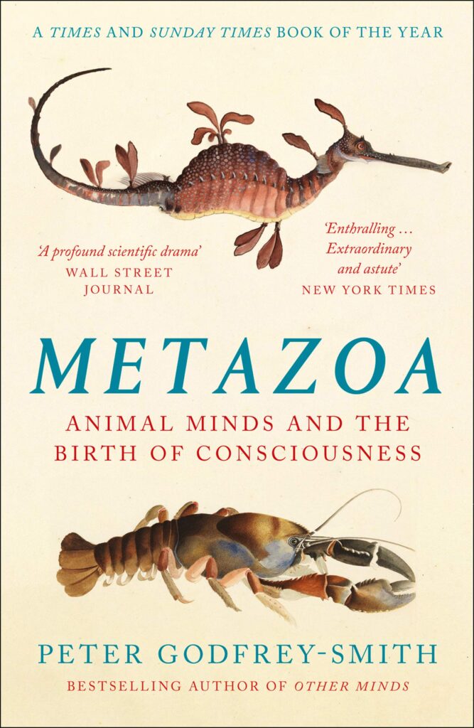 cover of Metazoa: Animal Minds and the Birth of Consciousness
