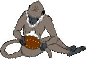 logo drawing showing seated grey langur threading her tail through the knob from the end of an Ankylosaur tail