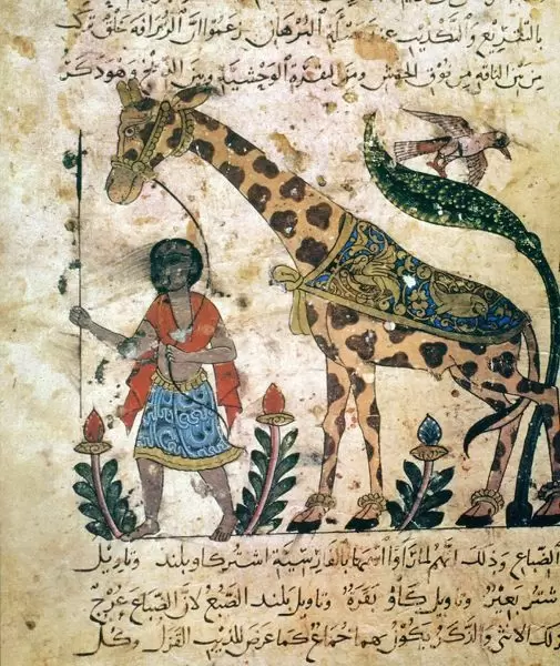 page from The Book of Aniimals by al-Jāḥiẓ