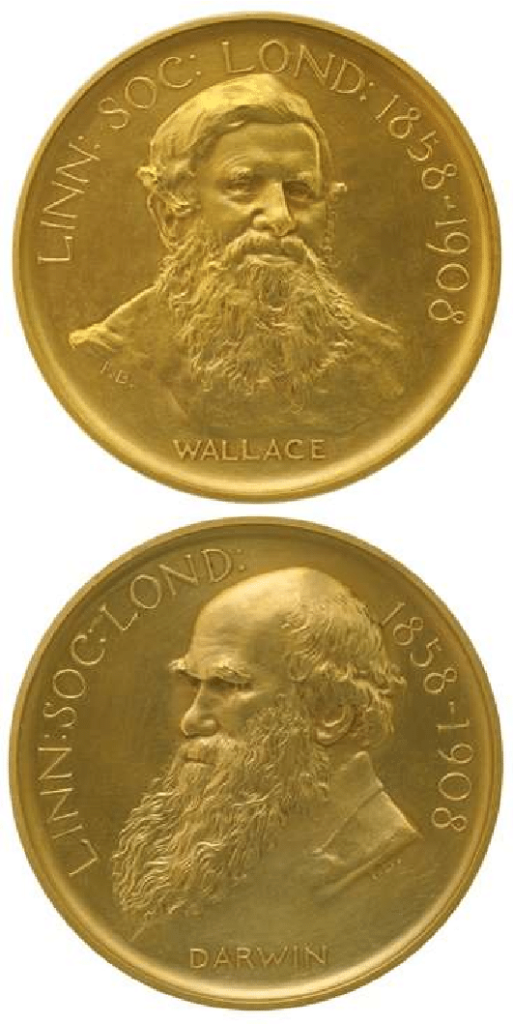 two sides of gold medal with portraits of Wallace and Darwin