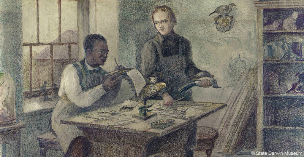 coloured pencil drawing of Edmonstone teaching