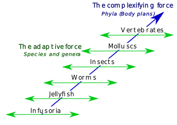 diagram of Lamarck's two-factor theory