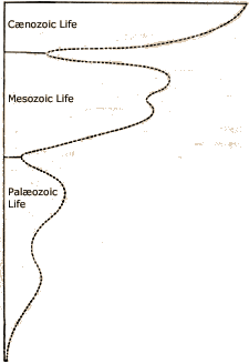 graph of geological ages