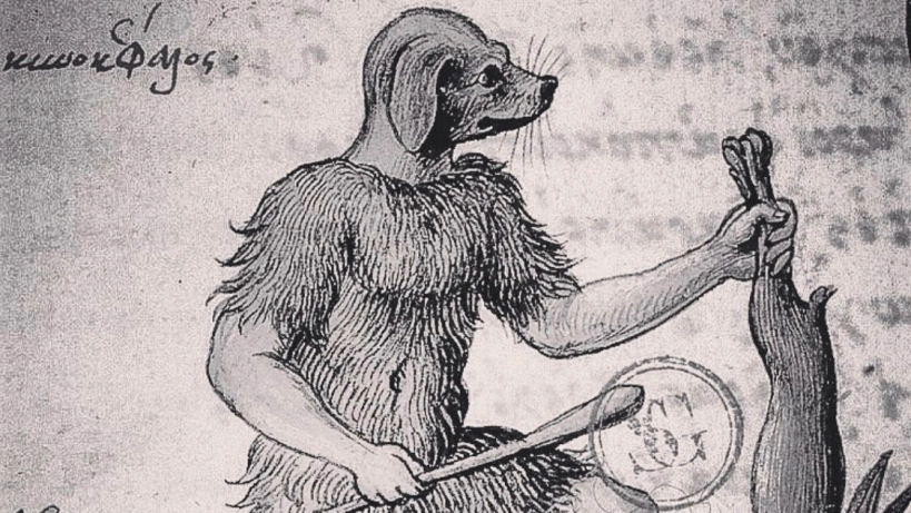 early drawing of dog-headed man